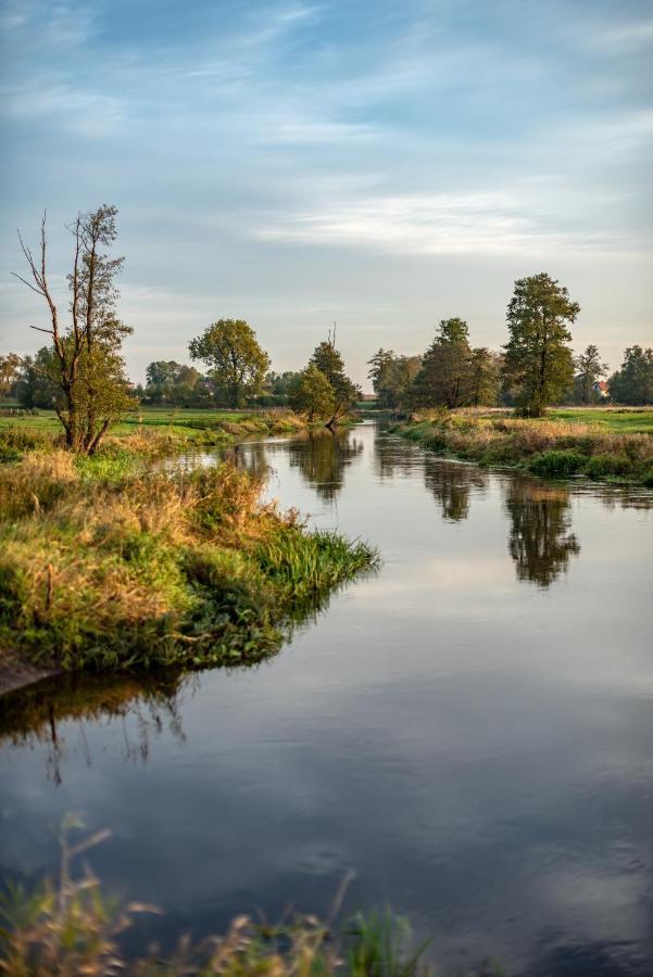 Noclegi Liw Apartments Hotel Apartamenty Węgrów 外观 照片